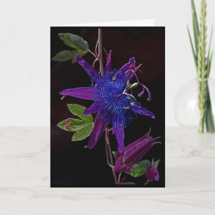 Carte Purple Passion