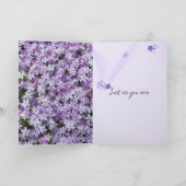 Carte Purple Phlox Pour Encouragement (Intérieur)