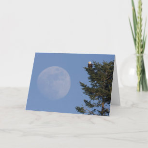 Carte Pygargue à tête blanche Pleine lune montante