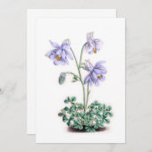 Carte Pyrénées Columbine - Aquilegia pyrenaica (Devant / Derrière)