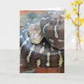 Carte Python de tapis centralisé (Fleur jaune)