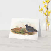 Carte Quail de montagne - oiseaux, (Fleur jaune)