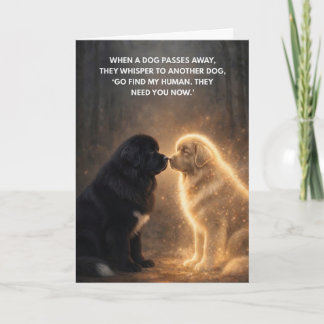 Carte Quand un chien s'en va
