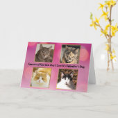 Carte Quatre chats sur cinq ne se soucient pas de la Sai (Fleur jaune)