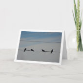 Carte Quatre oiseaux sur un fil (Devant)