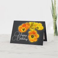 Quatre Tulipes orange jaune Gris Arrière - plan An