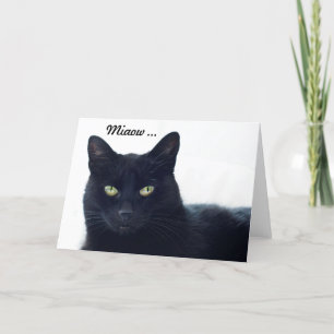 Carte Que ce chat nous indique-t-il sur un anniversaire