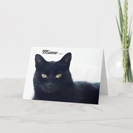 Carte Que ce chat nous indique-t-il sur un anniversaire (Devant)