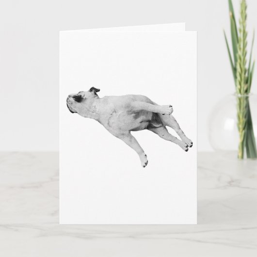 Carte Que la paix soit avec vos pattes (Devant)