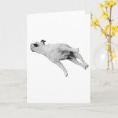 Carte Que la paix soit avec vos pattes (Fleur jaune)