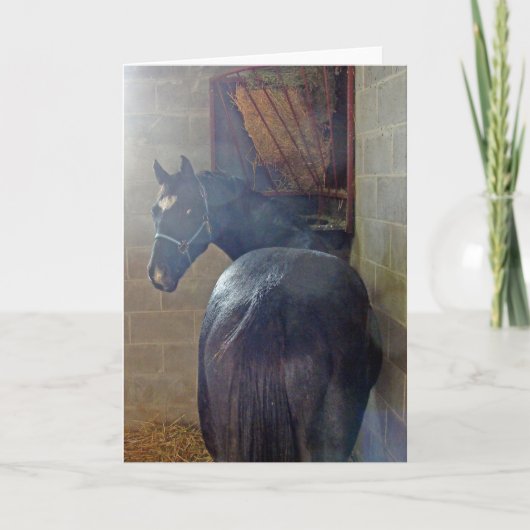 Carte Que veut Ya ? (Devant)