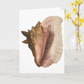 Carte Queen Conch Shell Seashell, Vintage Marine Life (Fleur jaune)