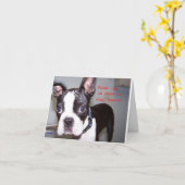 Carte Quel Âge Est-Ce ? (Fleur jaune)