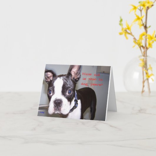 Carte Quel Âge Est-Ce ? (Fleur jaune)