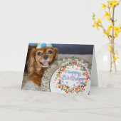 Carte Quel régime alimentaire ? (Fleur jaune)