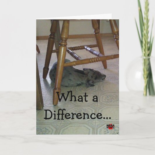 Carte Quelle différence par année fait ! ! ! ! (Devant)