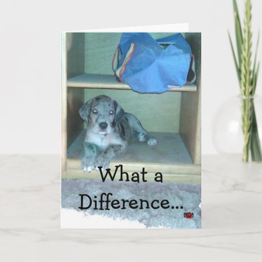 Carte Quelle différence une année fait ! ! ! ! (Devant)