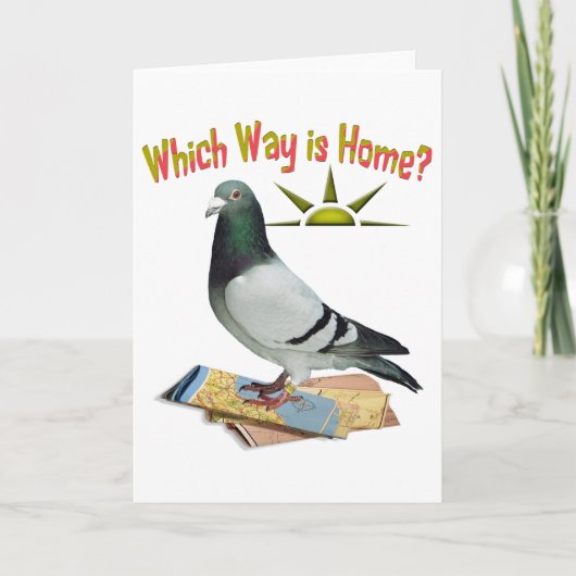 Carte Quelle manière est maison ? Art de pigeon (Devant)