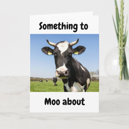 Carte QUELQUE CHOSE À *MOO À PROPOS* 1ER ANNIVERSAIRE Ca (Devant)