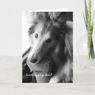 Carte Quelque chose t'a fait descendre ?