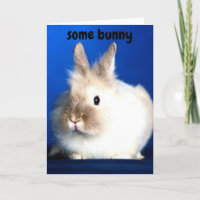 QUELQUE LAPIN AIME "VOUS"