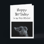 Carte Quelqu'un que j'admire Belle-Mère Anniversaire Cha<br><div class="desc">Quelqu'un que je regarde ou admire Belle-Mère Anniversaire Animal Humour Il y a beaucoup de place pour ajouter votre propre message</div>