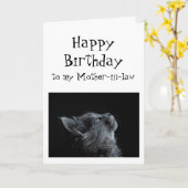 Carte Quelqu'un que je regarde vers ma belle-mère Chat d (Fleur jaune)