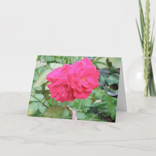 Carte Querida Hermana Dia de Las Madres (Devant)