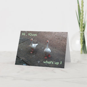 Carte qu'est-ce qu'il y a ?, Salut, !