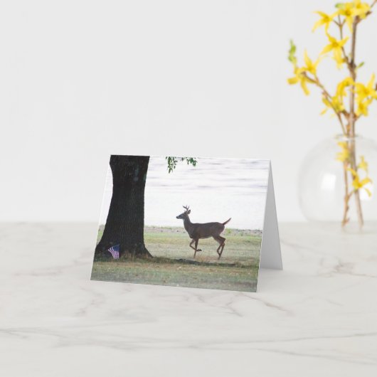 Carte Queue blanche et drapeau (Fleur jaune)