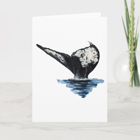Carte Queue de baleine (Devant)