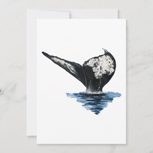 Carte Queue de baleine (Devant)