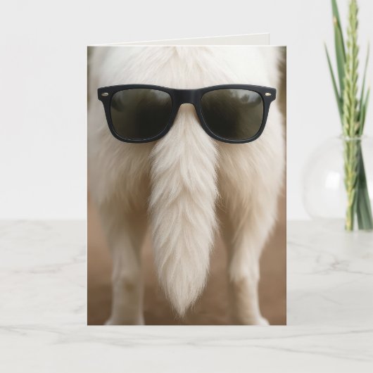 Carte Queue d'un chien d'anniversaire avec des lunettes (Devant)