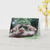 Carte Queues de guépards croisées (Fleur jaune)