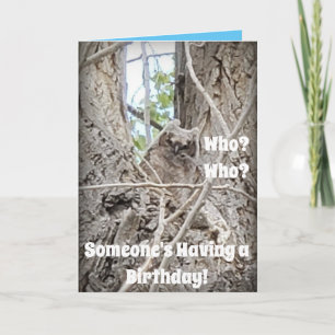 Carte Qui a un bébé Hibou dans l'arbre