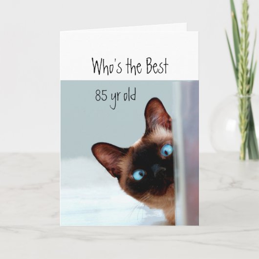 Carte Qui est le meilleur humour de chaton de 85 ans (Devant)