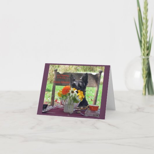 Carte Qui regarde (Devant)