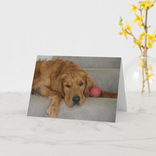 Carte qui vous manque (Fleur jaune)