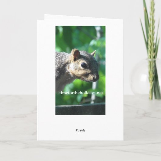 Carte Quoi de neuf, Ya Big Nut Funny Squirrel (Dos)