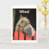 CARTE "QUOI DIRE LE CHEVAL" EN DIRECTION DU GROS "40" (Fleur jaune)