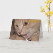 Carte QUOI ? ! T'es si vieux ? ! (Fleur jaune)