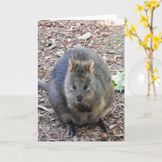 Carte Quokka (Fleur jaune)