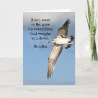 Quota de Bouddha