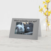 CARTE QU'Y A-T-IL EN PLUS DE VOTRE ÂGE ? (Fleur jaune)