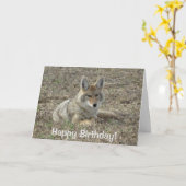 Carte R22 Coyote Couché (Fleur jaune)