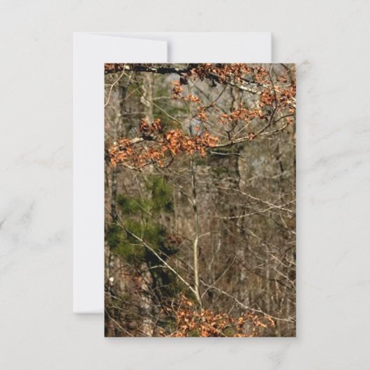 Carte R.S.V.P. 3,5x5 Tête de Cerf Camouflage Chass (Dos)