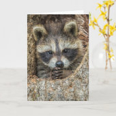 Carte Raccon niché à l'intérieur d'un creux d'arbre (Fleur jaune)