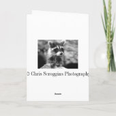 Carte Raccoon Anniversaire (Dos)