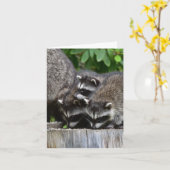 Carte Raccoon Babies ! (Fleur jaune)