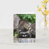 Carte Raccoon Babies ! (Fleur jaune)